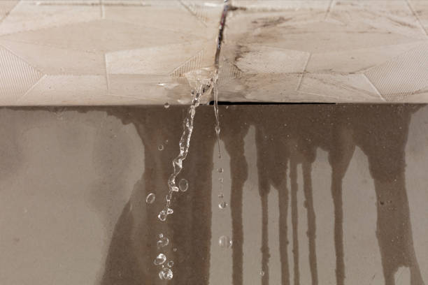 Professional Structural Drying technician working in Ashburn, VA